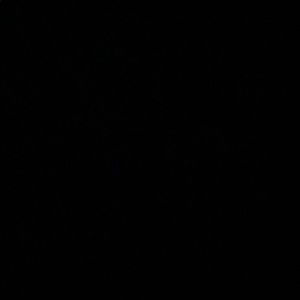 Meet your Posher, Jesus